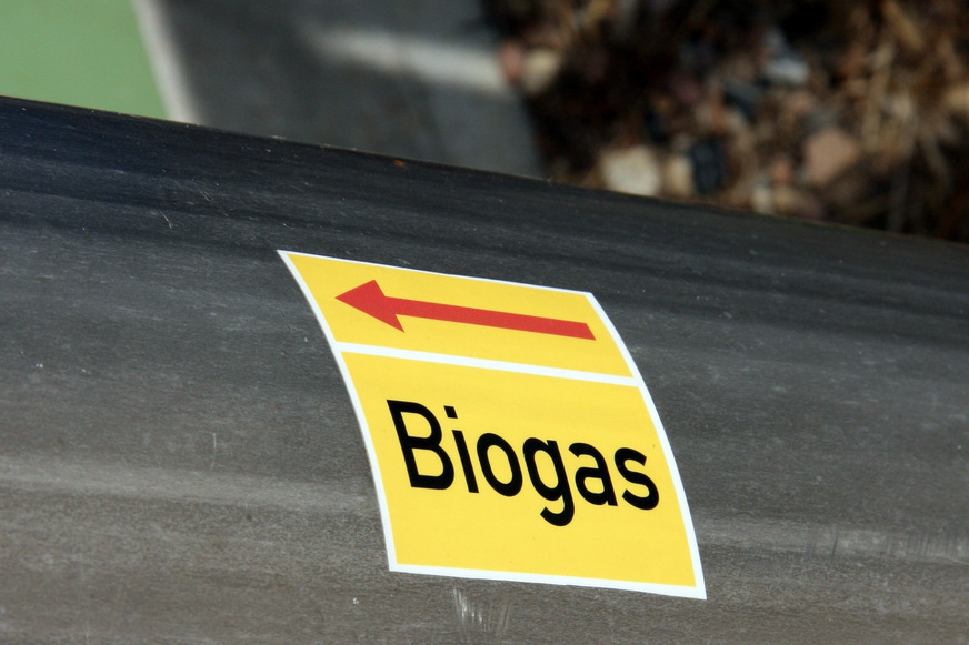 In Deutschland gibt es etwa 9900 Biogasanlagen. Nur etwa 245 (2022) davon bereiten Rohbiogas zu Biomethan auf und speisen es ins Erdgasnetz ein. Nur ein sehr kleiner Anteil des Biomethans wird bisher zu direkten Wärmeerzeugung verwendet. Für das DVGW-Szenario mit einer Wasserstoffnachfrage im Jahr 2045 von 179 TWh/a für die Erzeugung von Niedertemperaturwärme müssten schon viel früher Grüne Gas physikalisch oder bilanziell zum Einsatz kommen, damit die Anschlussnehmer auf dem Zielpfad des Bundes-Klimaschutzgesetzes bleiben.