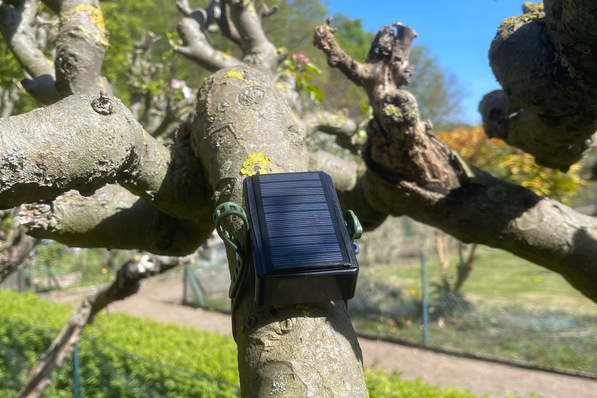© dataMatters GmbH Bild 1 „Smarter Baum“ in Hürth.